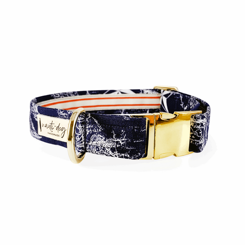 Carta Marina Navy Vintage Nautical Toile Buckle & Martingale Dog Collar
