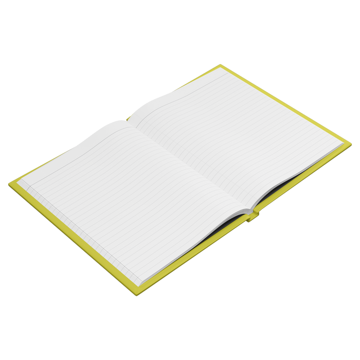 Everything_I_Cant_Say_At_The_FRG_Meet_Open_Pages_Angle_Mockup.png