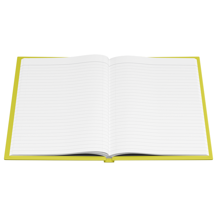 Everything_I_Cant_Say_At_The_FRG_Meet_Open_Pages_Flat_Mockup.png