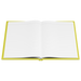 Everything_I_Cant_Say_At_The_FRG_Meet_Open_Pages_Flat_Mockup.png