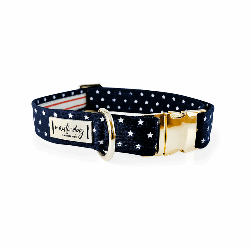 Independence Patriotic American Star Navy Buckle & Martingale Dog Collar
