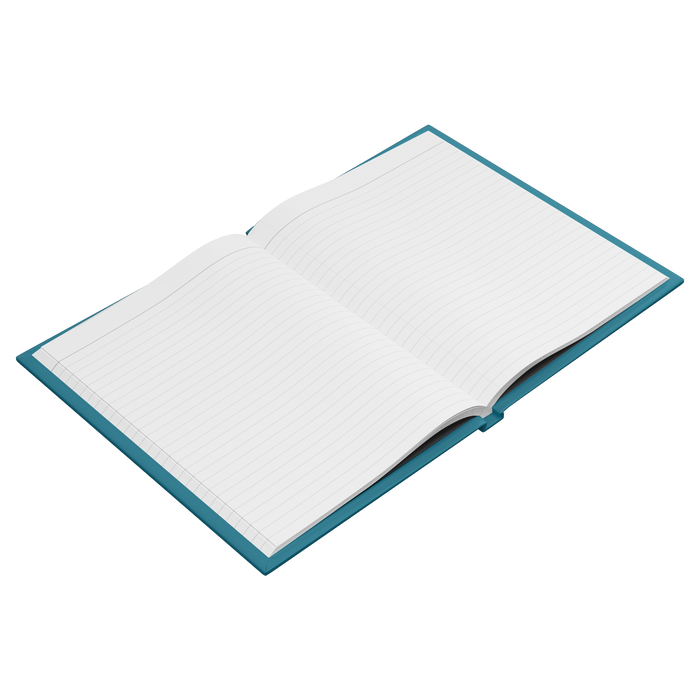 Plan_of_the_Moment_Hardcover_Journal_Open_Pages_Angle_Mockup.png