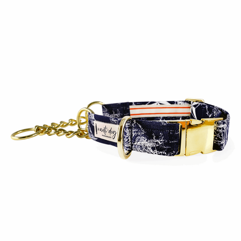 Carta Marina Navy Vintage Nautical Toile Buckle & Martingale Dog Collar