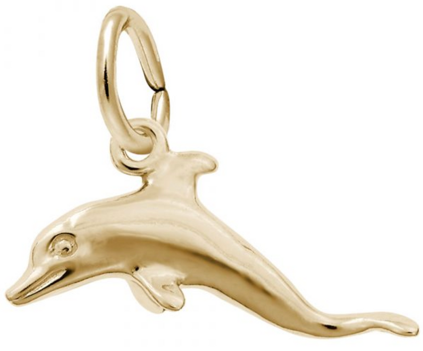 Dolphin Charm