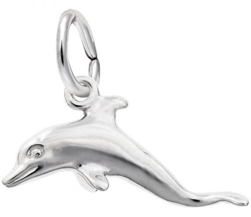 Dolphin Charm