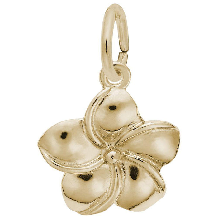 Plumeria Charm