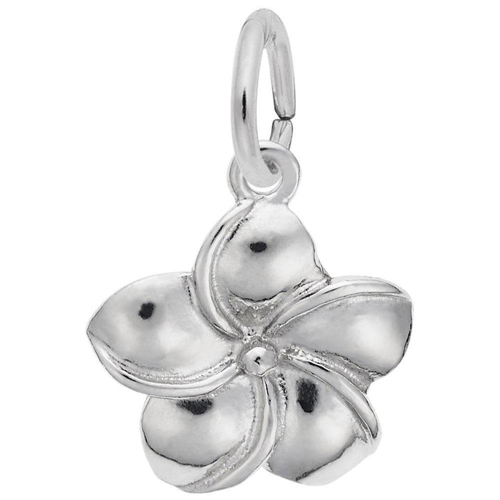 Plumeria Charm